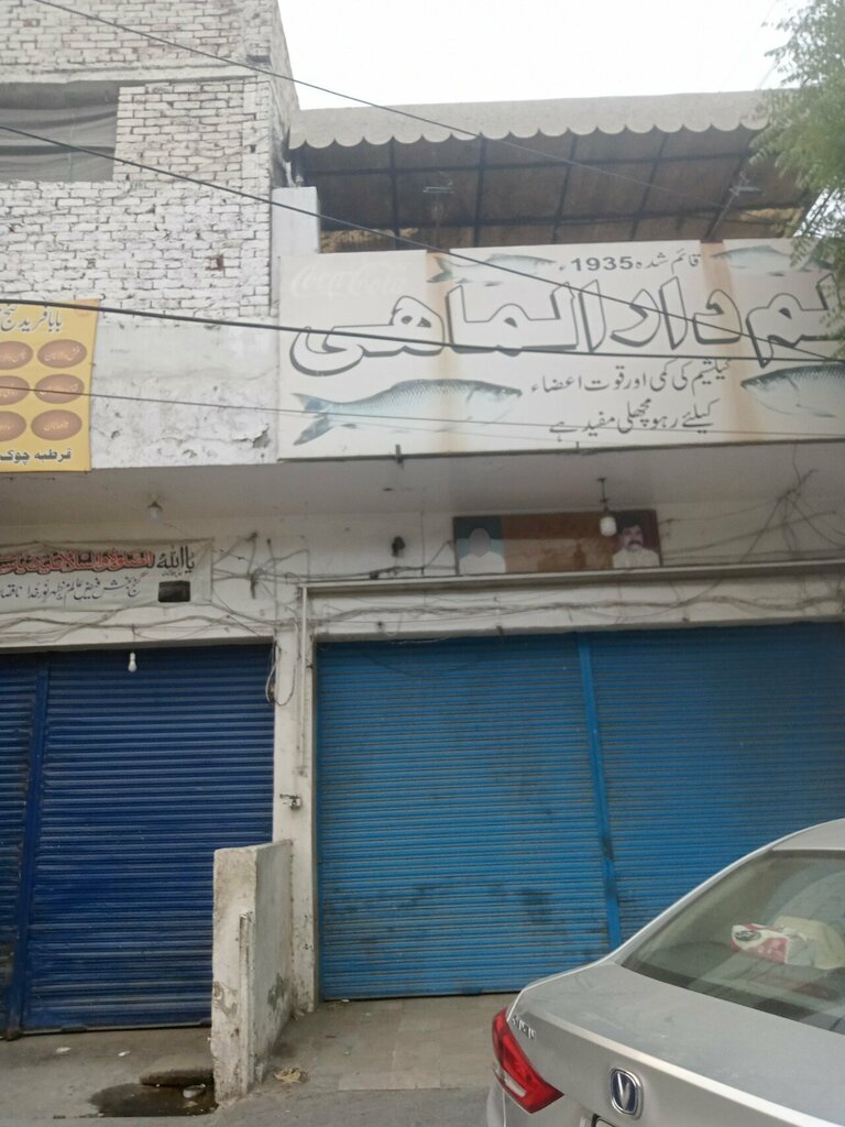 Fish and seafood Daral Nahi fish corner, Lahore, photo