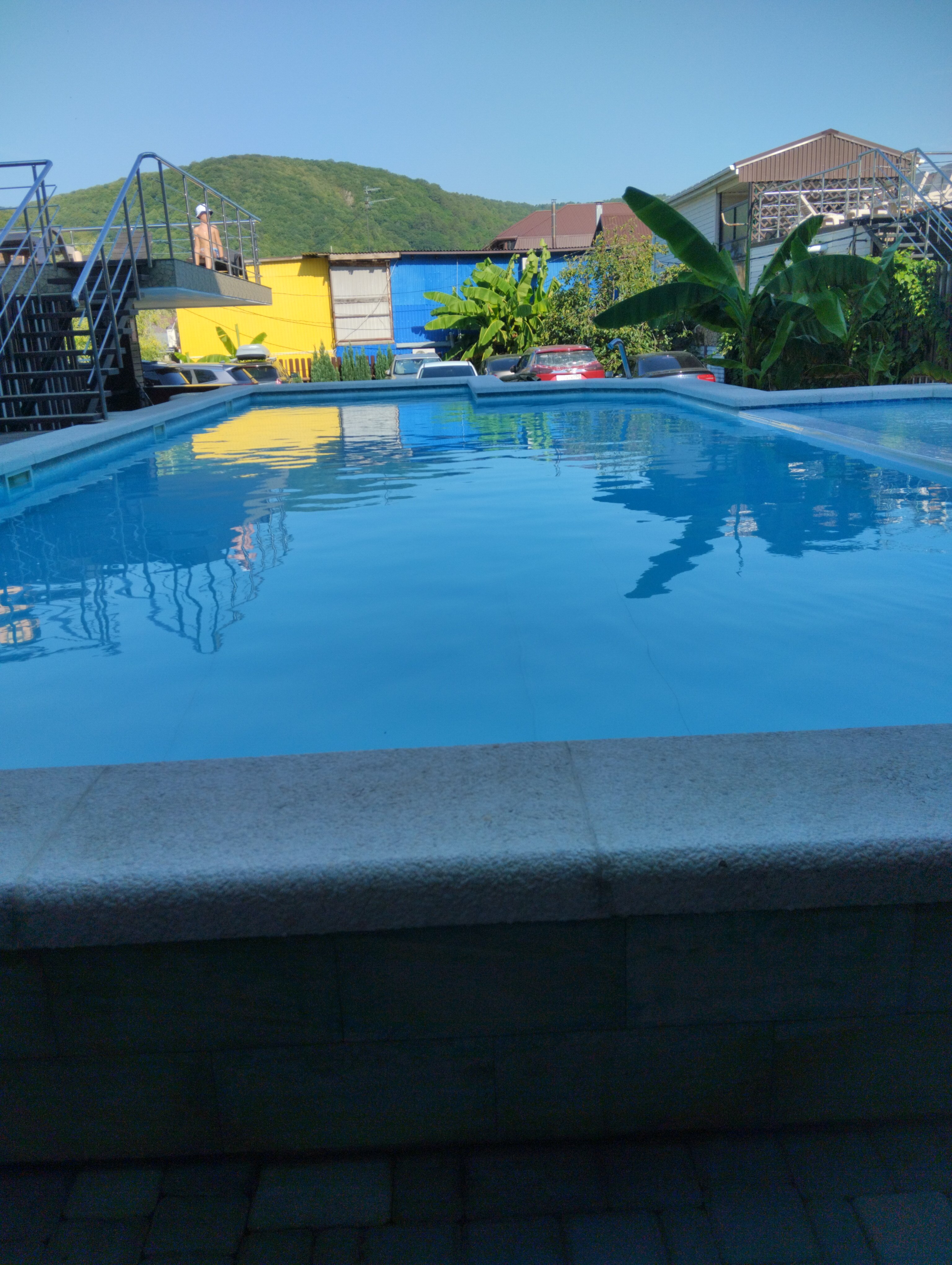 Фото Березы