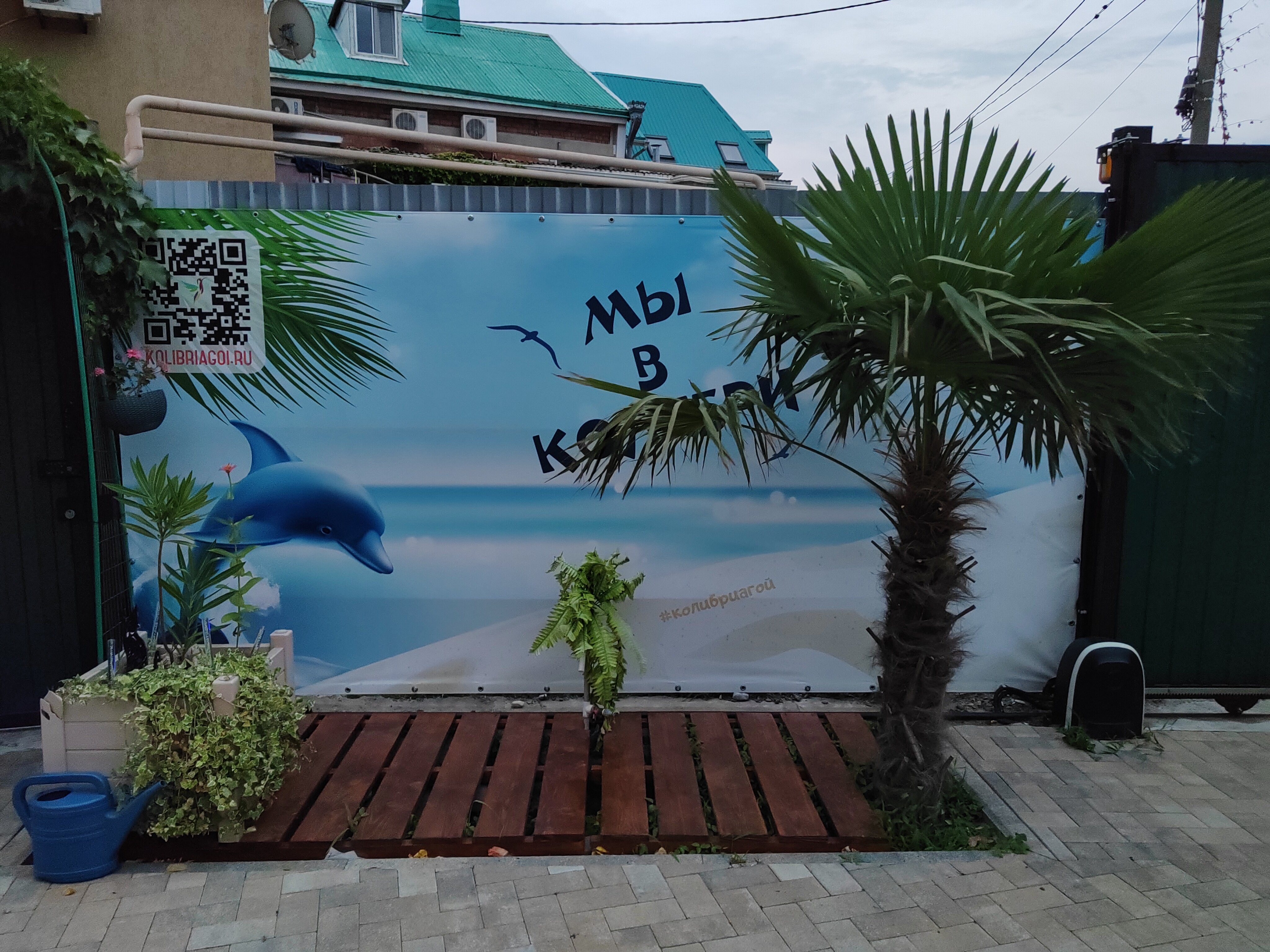 Фото Колибри