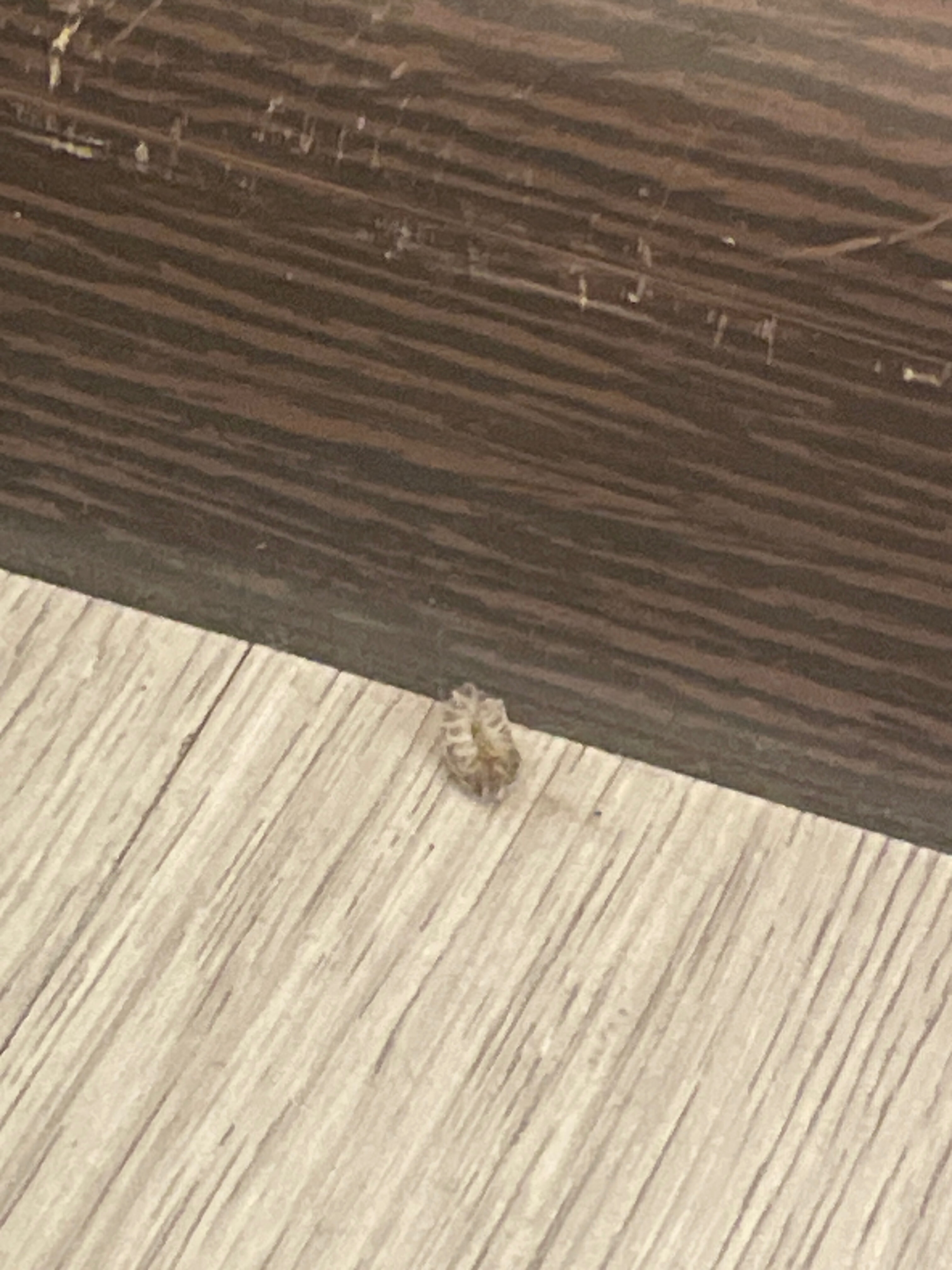 Фото Альянс