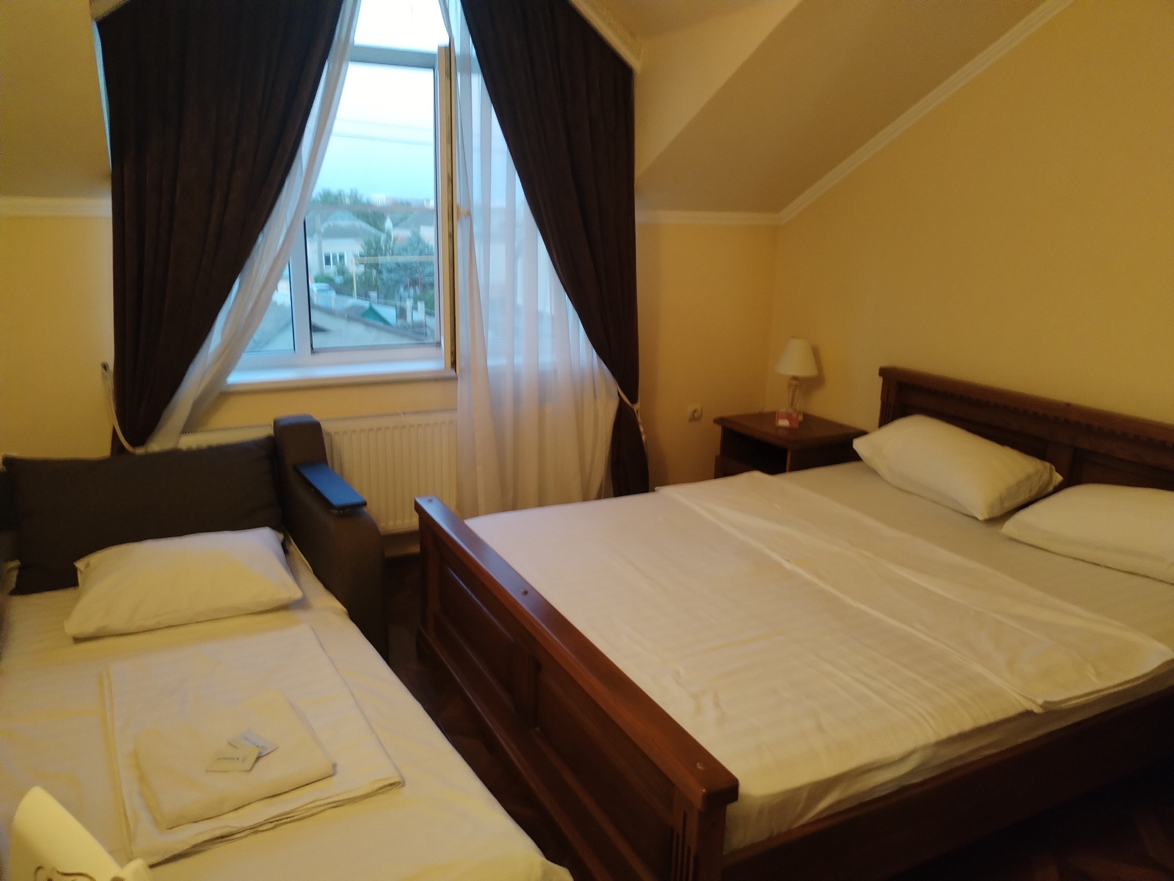 Фото Золотой Лев