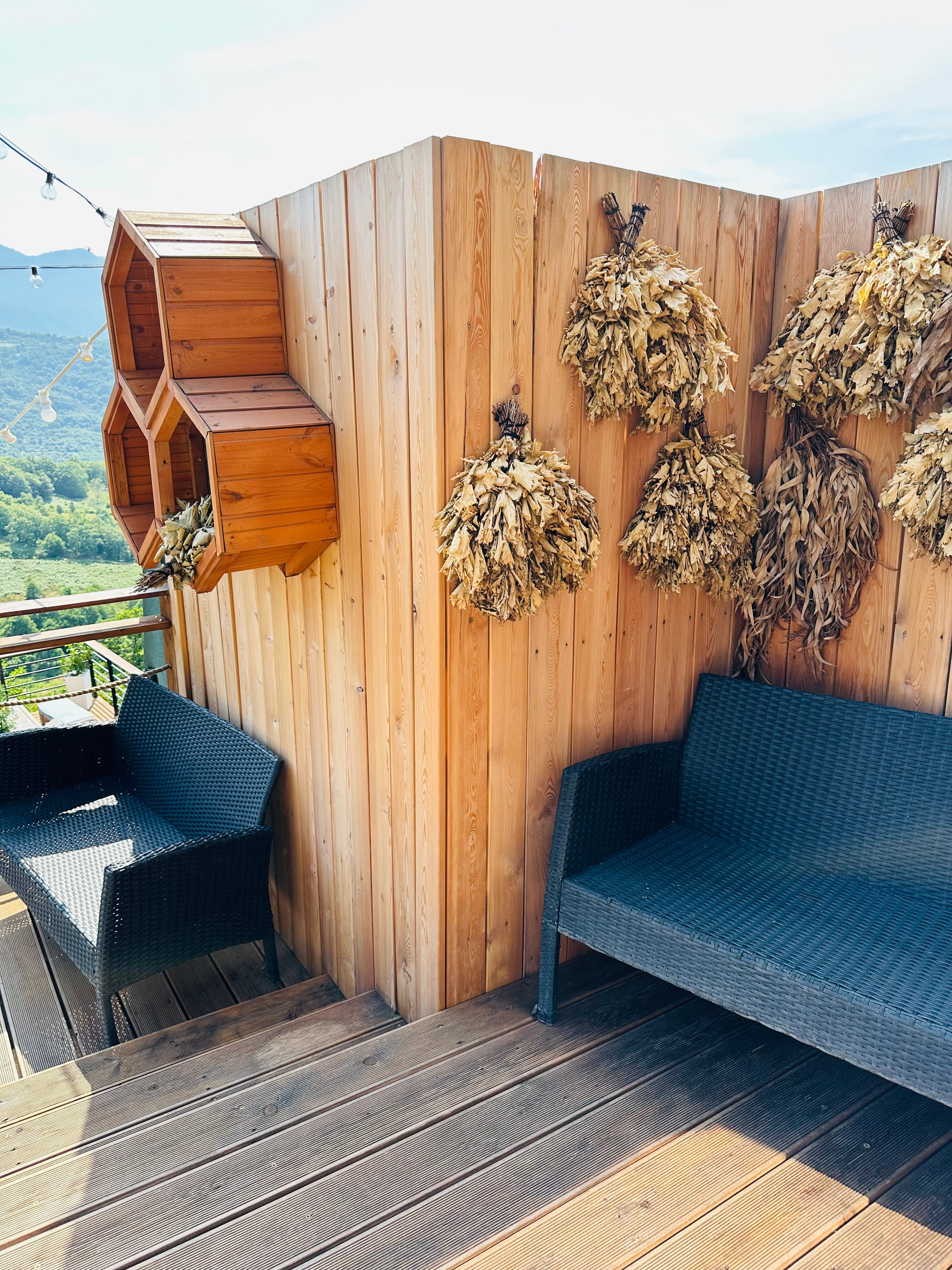 Фото Светогорье