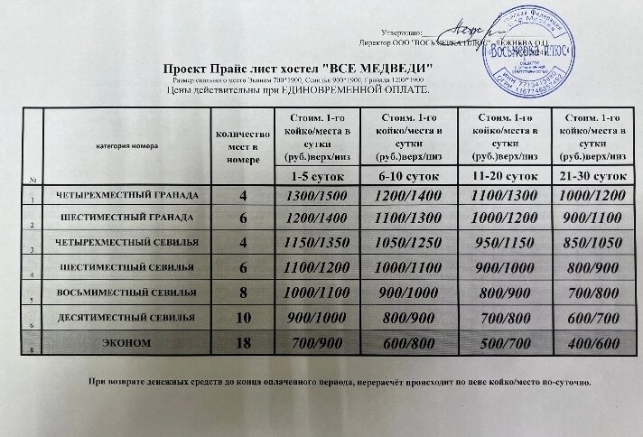 Фото Все медведи