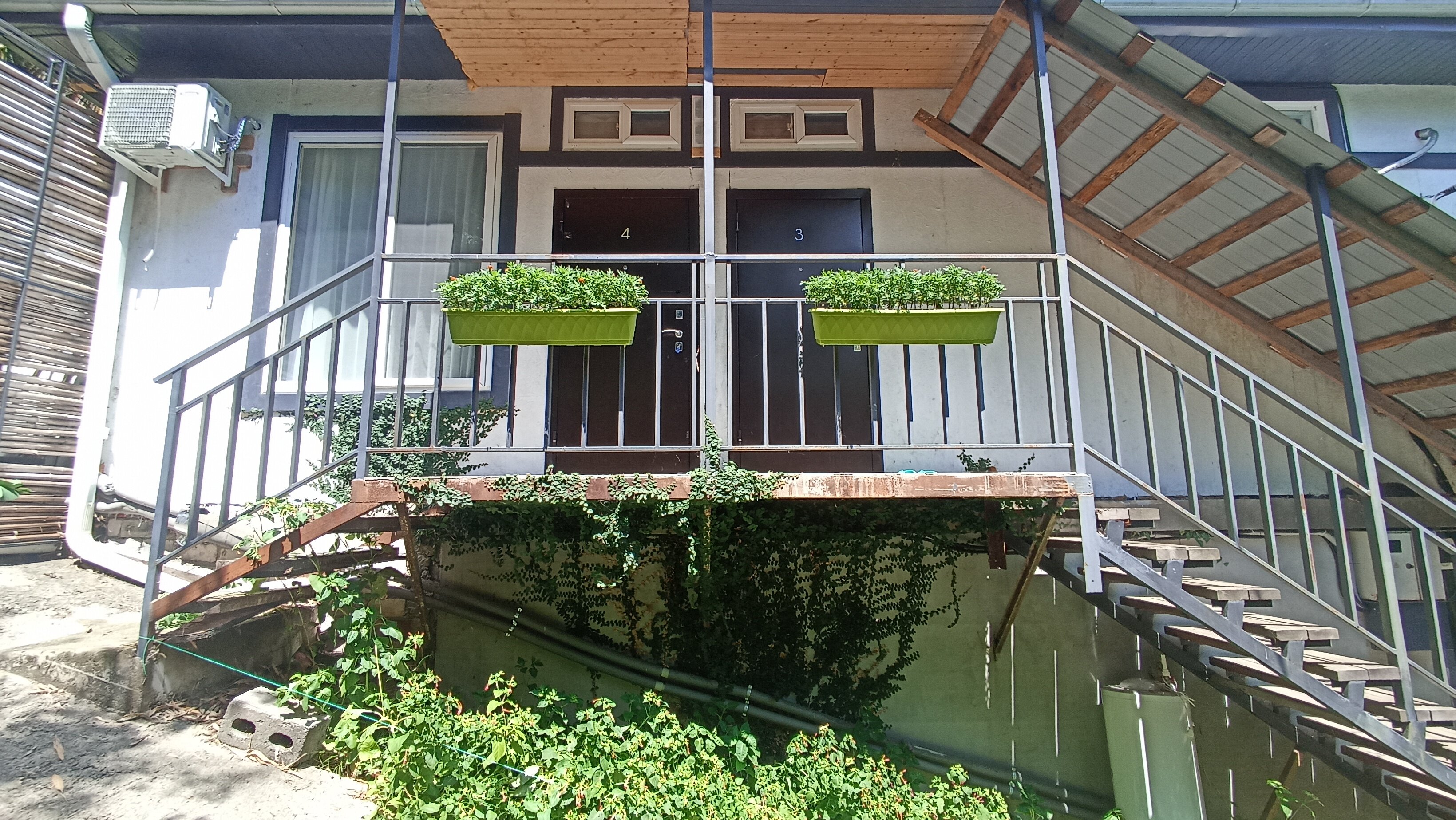 Фото Бамбуковая Роща