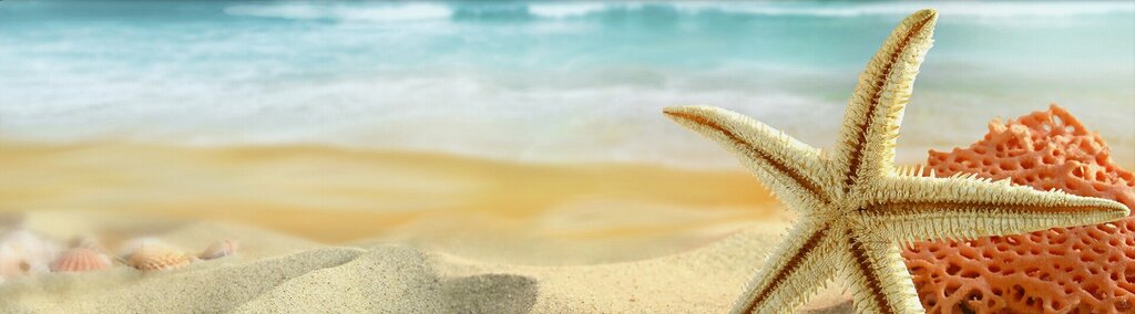 Bus transportation Lider Turizm, Ladik, photo