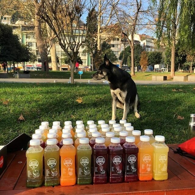 Non-alcoholic beverages Juitox, Istanbul, photo