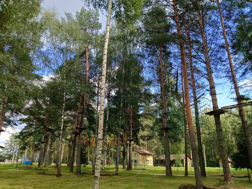 Дом отдыха Конаково. Аэро в Селиховском сельском поселении