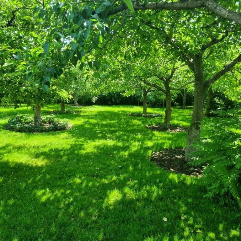 Фото Гостевой дом Морячка