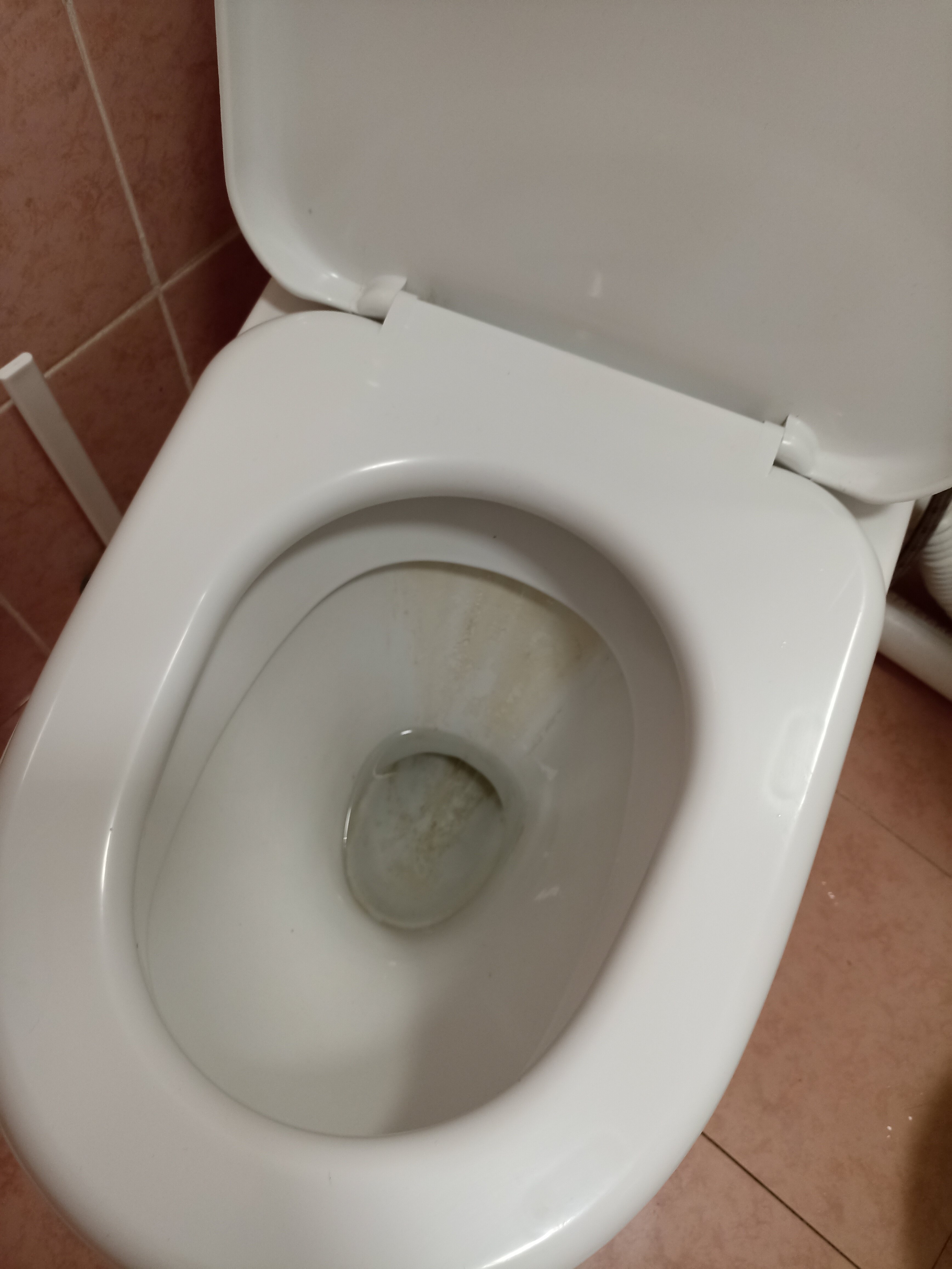 Фото Villa Forrest