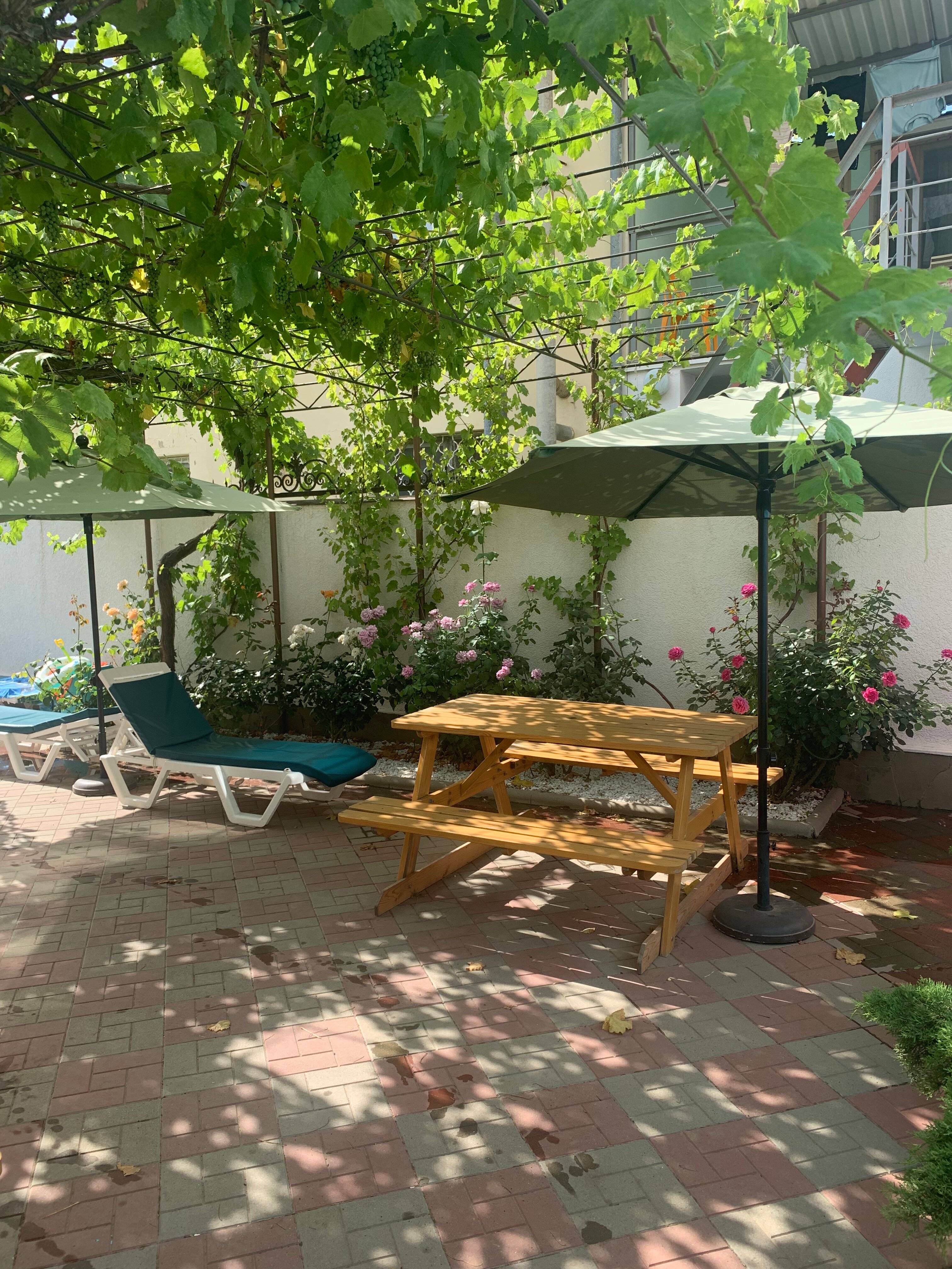 Фото Дельфиния