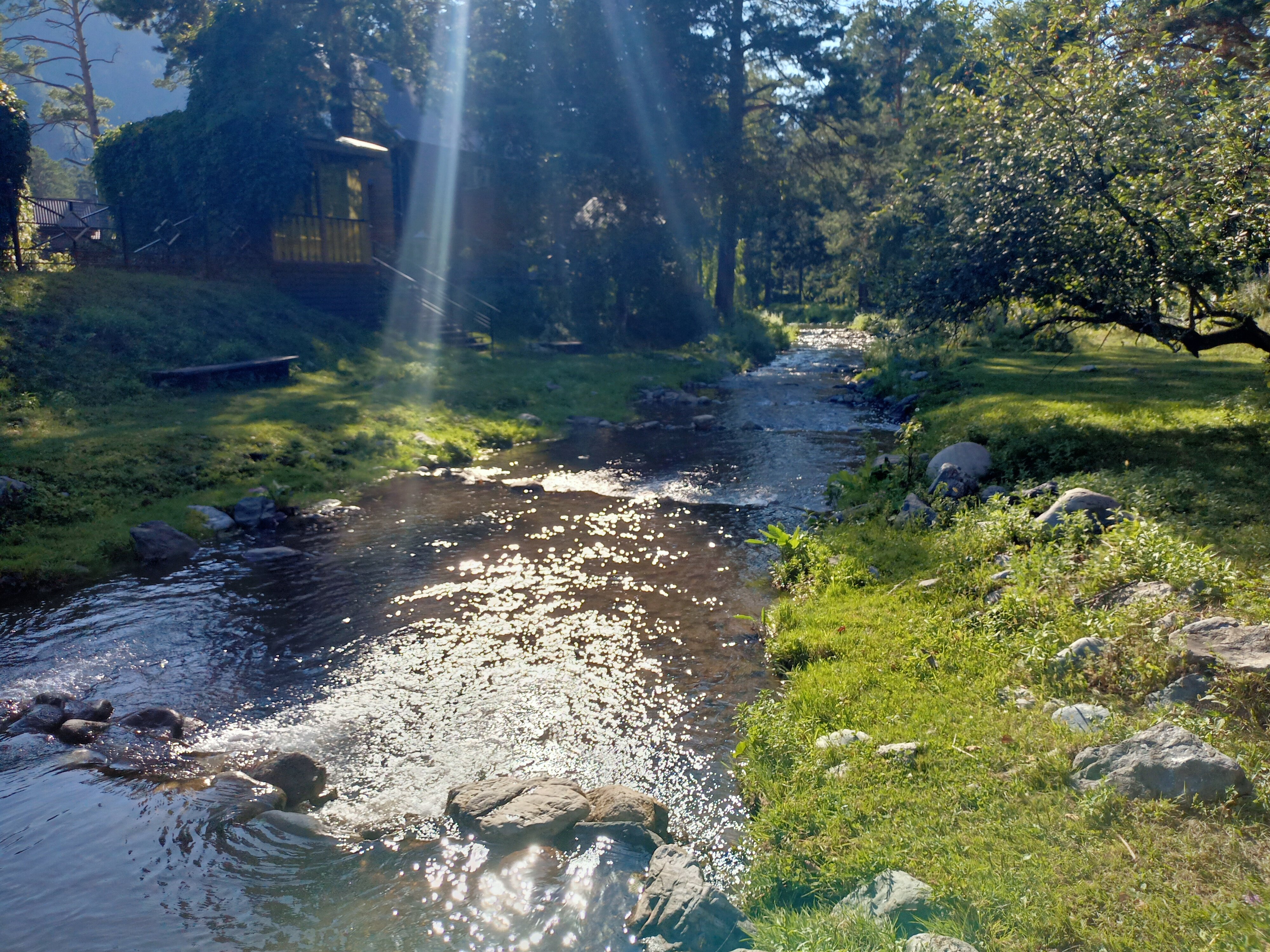 Фото Медведь и Ягодка