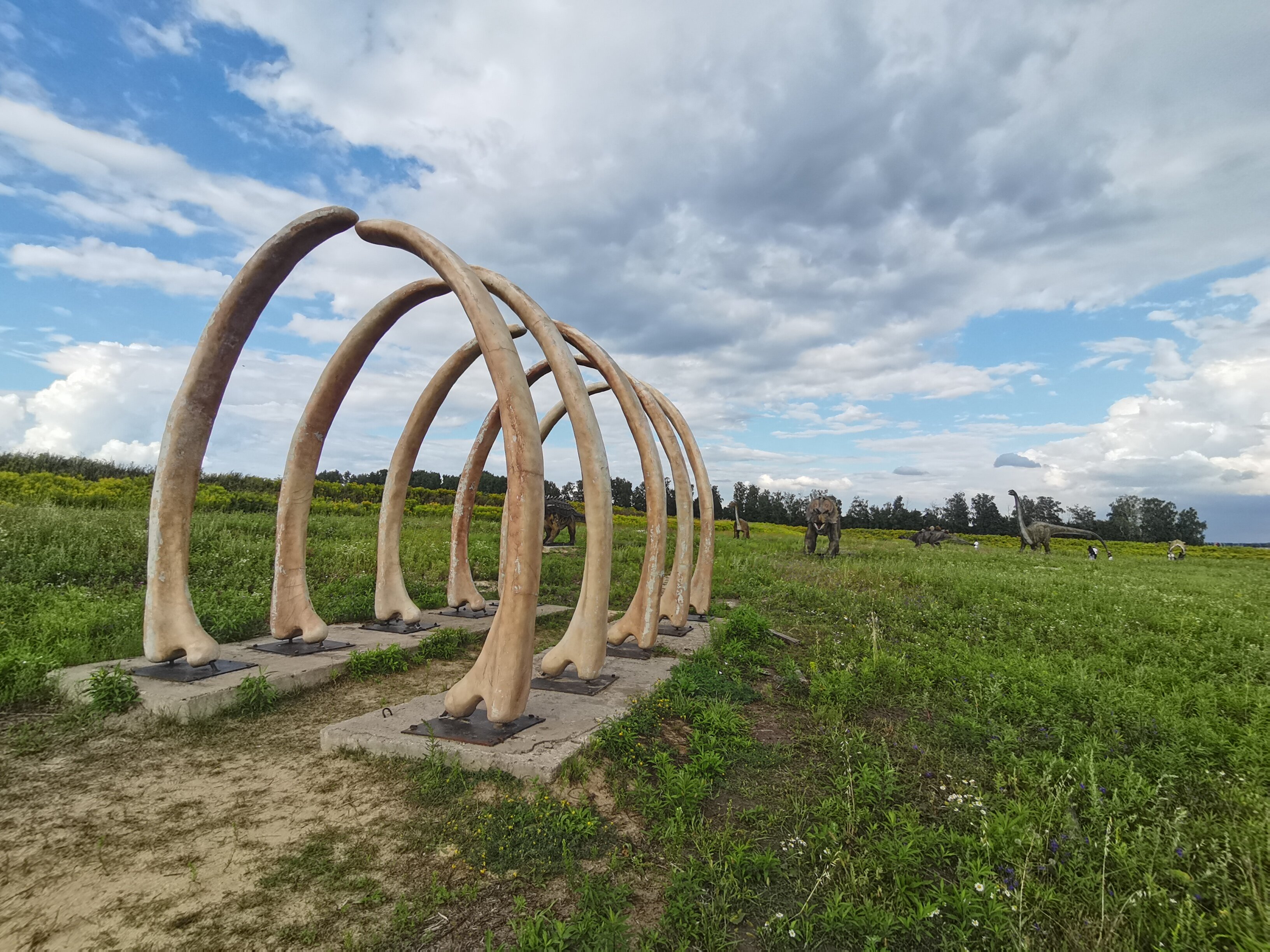 Фото Золотой город