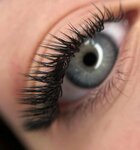 Dizha_lashes (Tekuchyova Street, 37) ، شريط حاجب العين