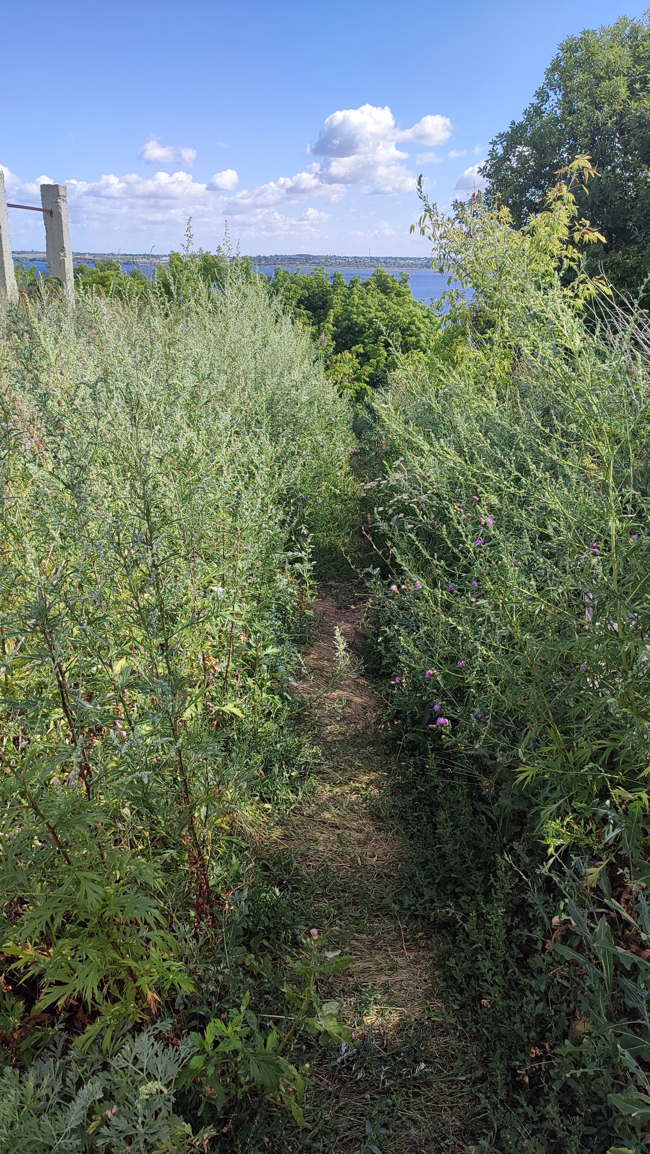 Фото У Марии