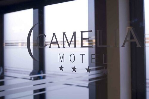 Гостиница Hotel Camelia в Новаре