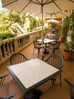 Фото Pato Amarillo