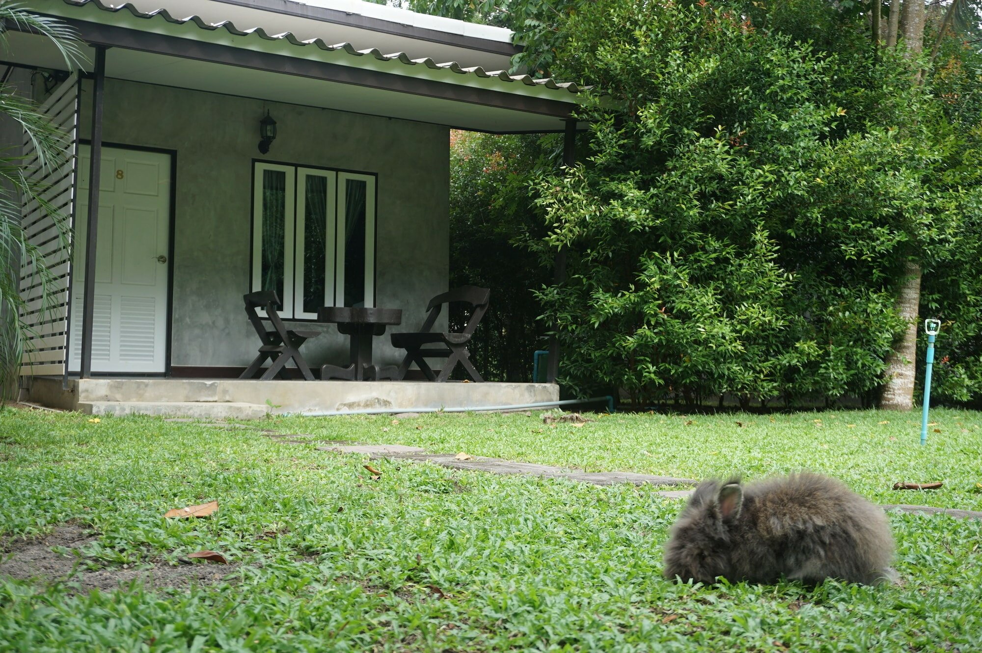 Фото V Valley Resort