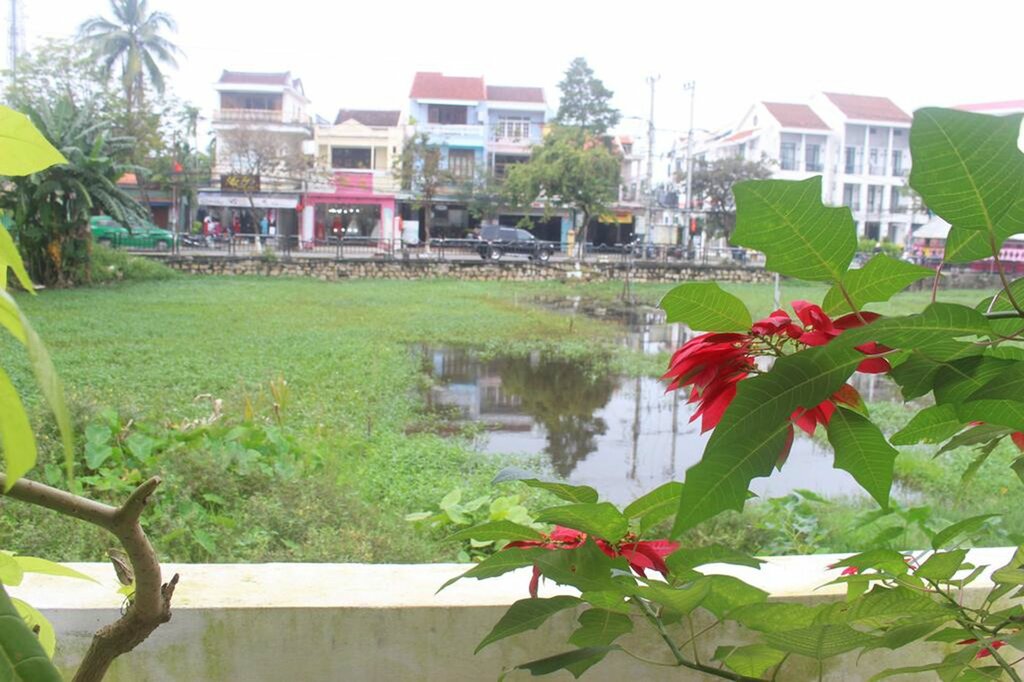 Hotel Hoi An Green View Homestay, Hội An, photo