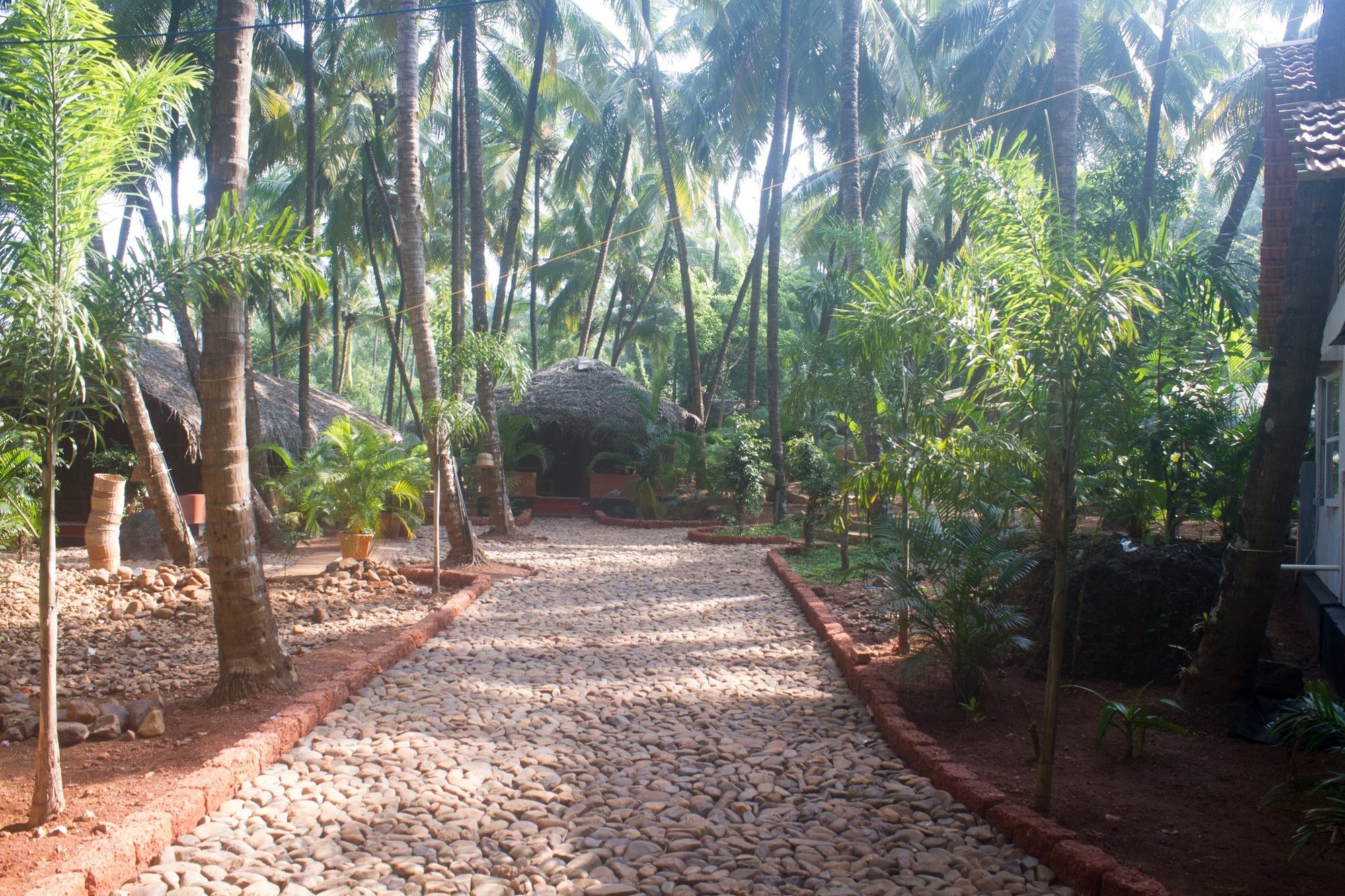 Фото Palm Trees Ayurvedic Heritage