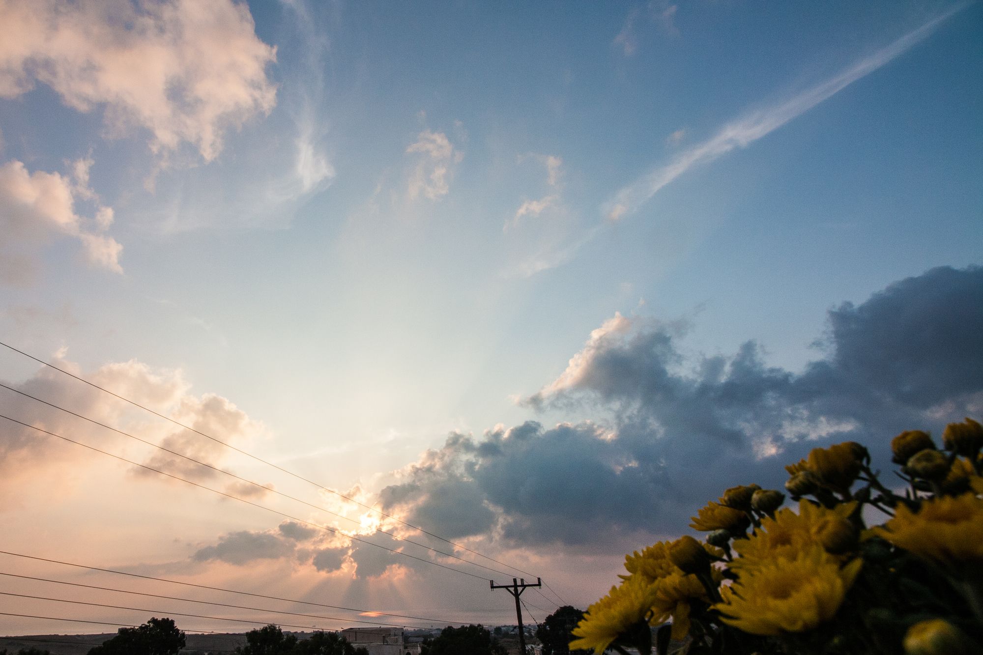Фото La Noi Houses
