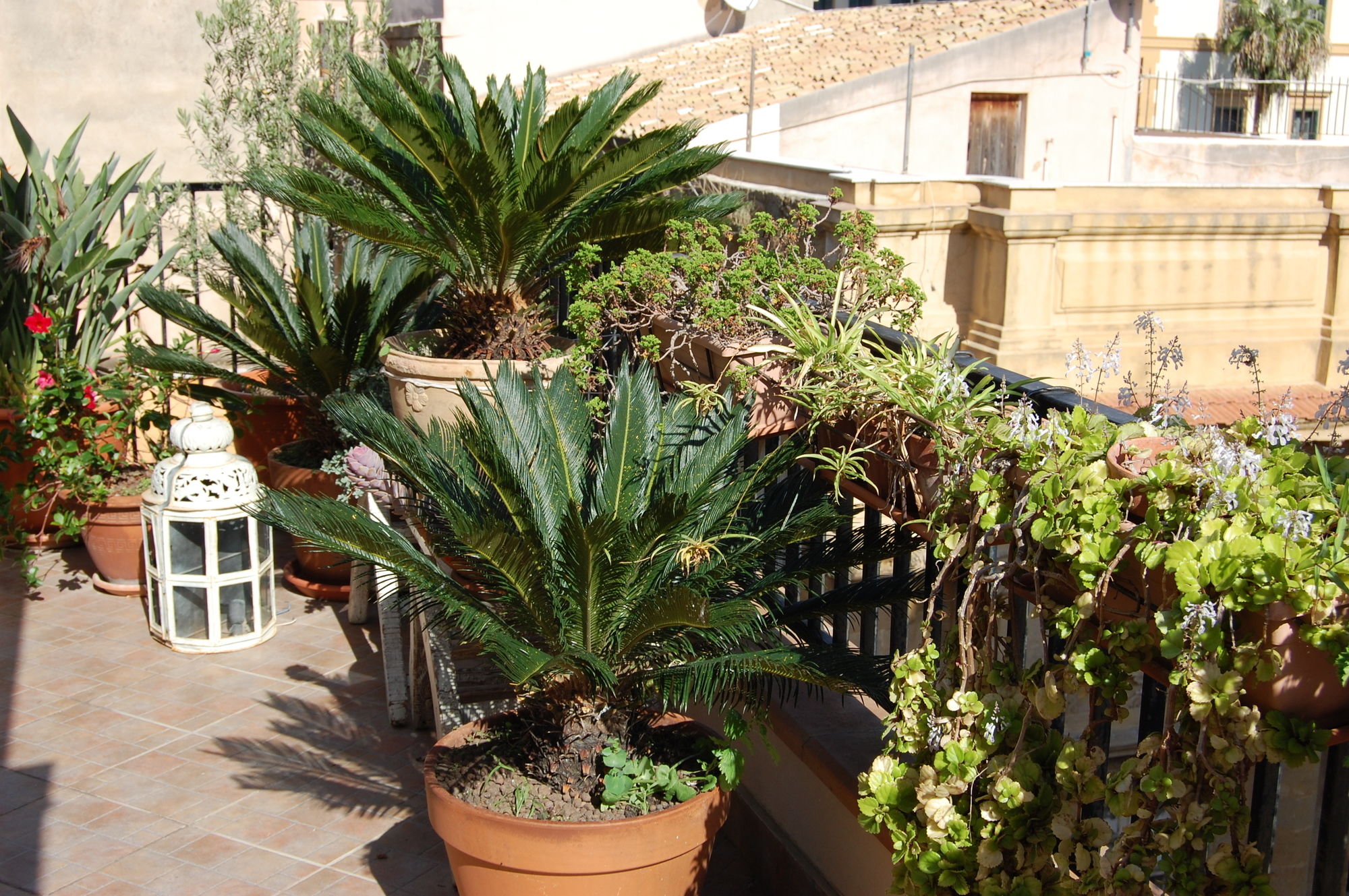 Фото B&b PortAtenea