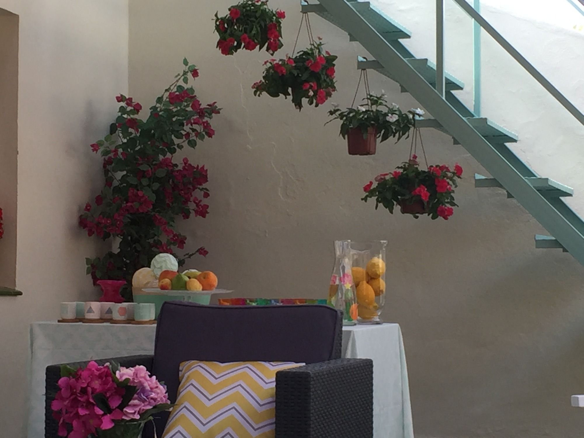 Фото Nüa Alameda