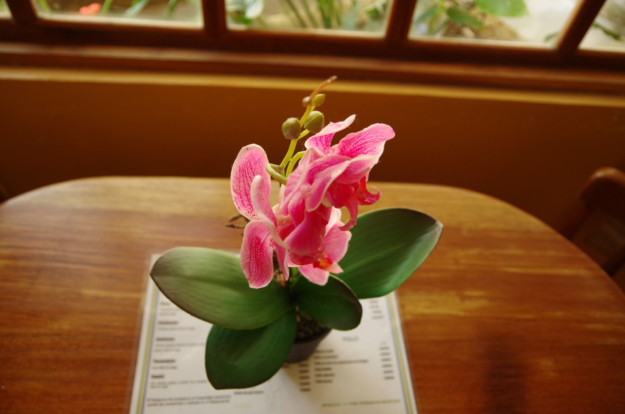 Фото Hotel Villa Zurquí