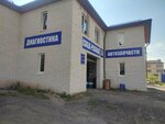 Авторемонт (ulitsa Shevchenko, 103), car service, auto repair