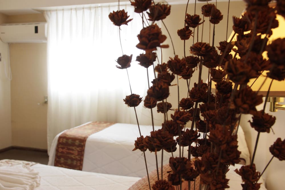 Фото Hotel Bertaina