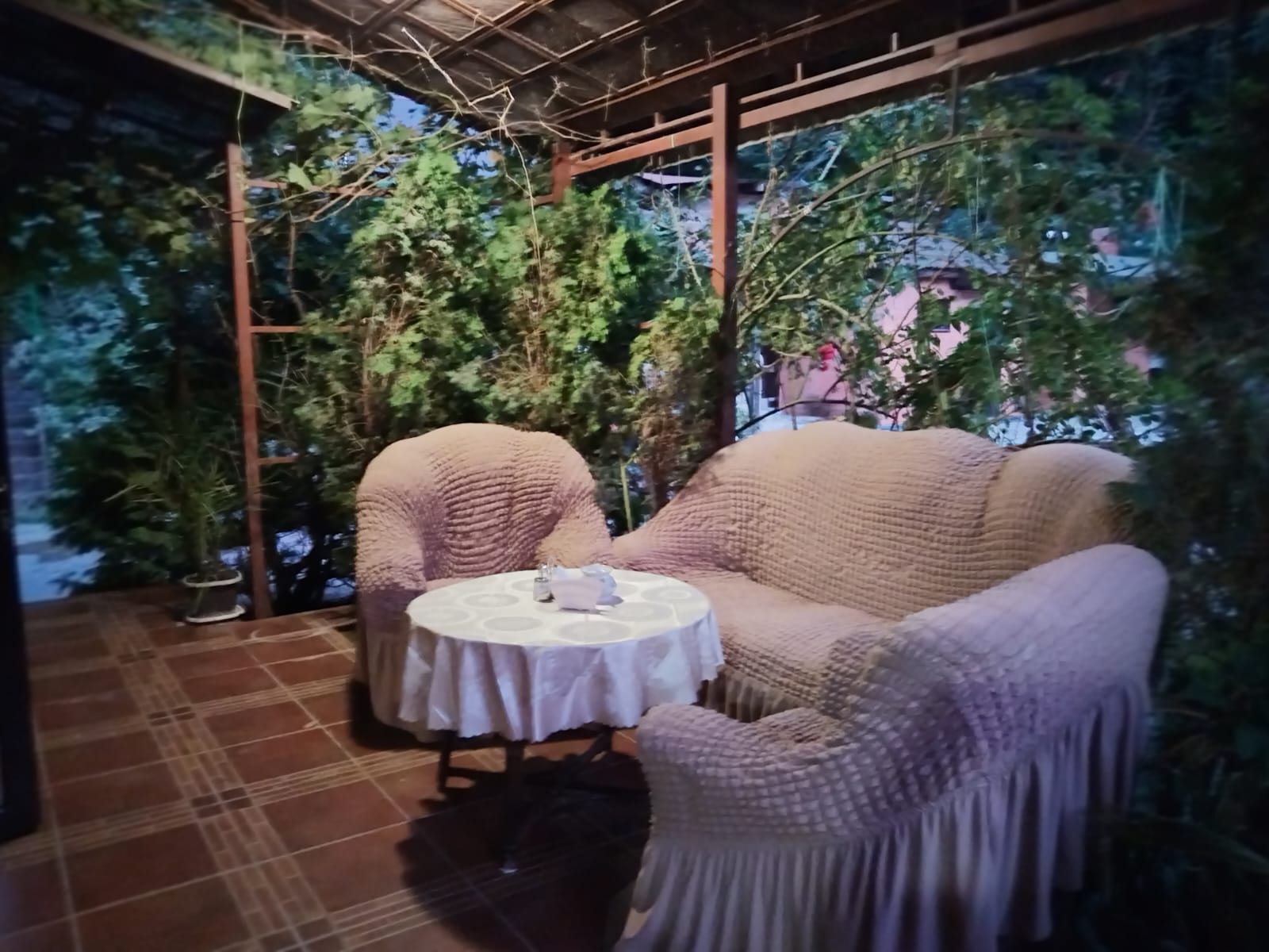 Фото Эдельвейс Ретро