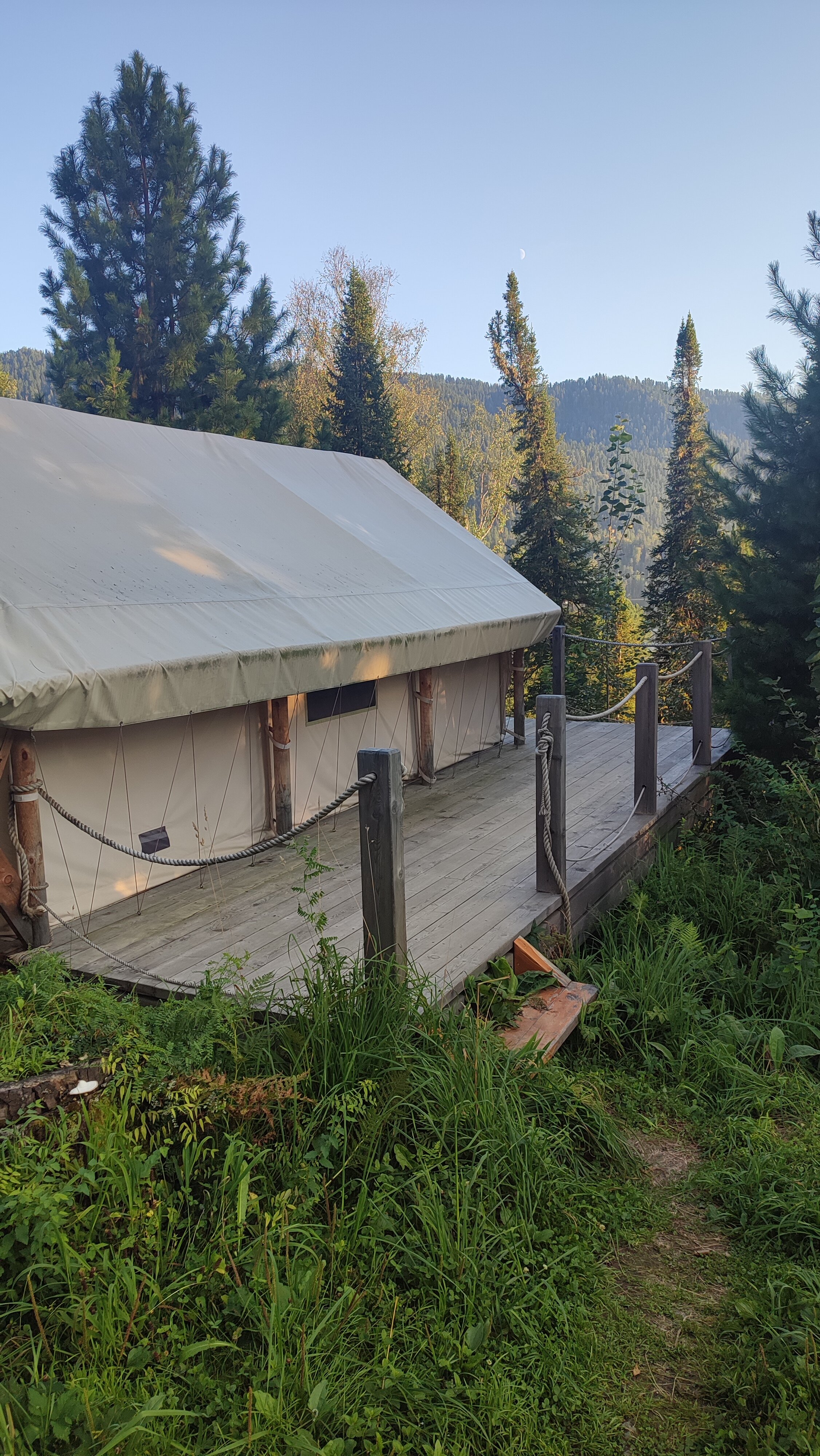 Фото Кедровая берлога