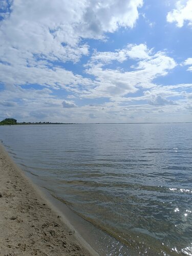 Манинаның сексін қараңыз