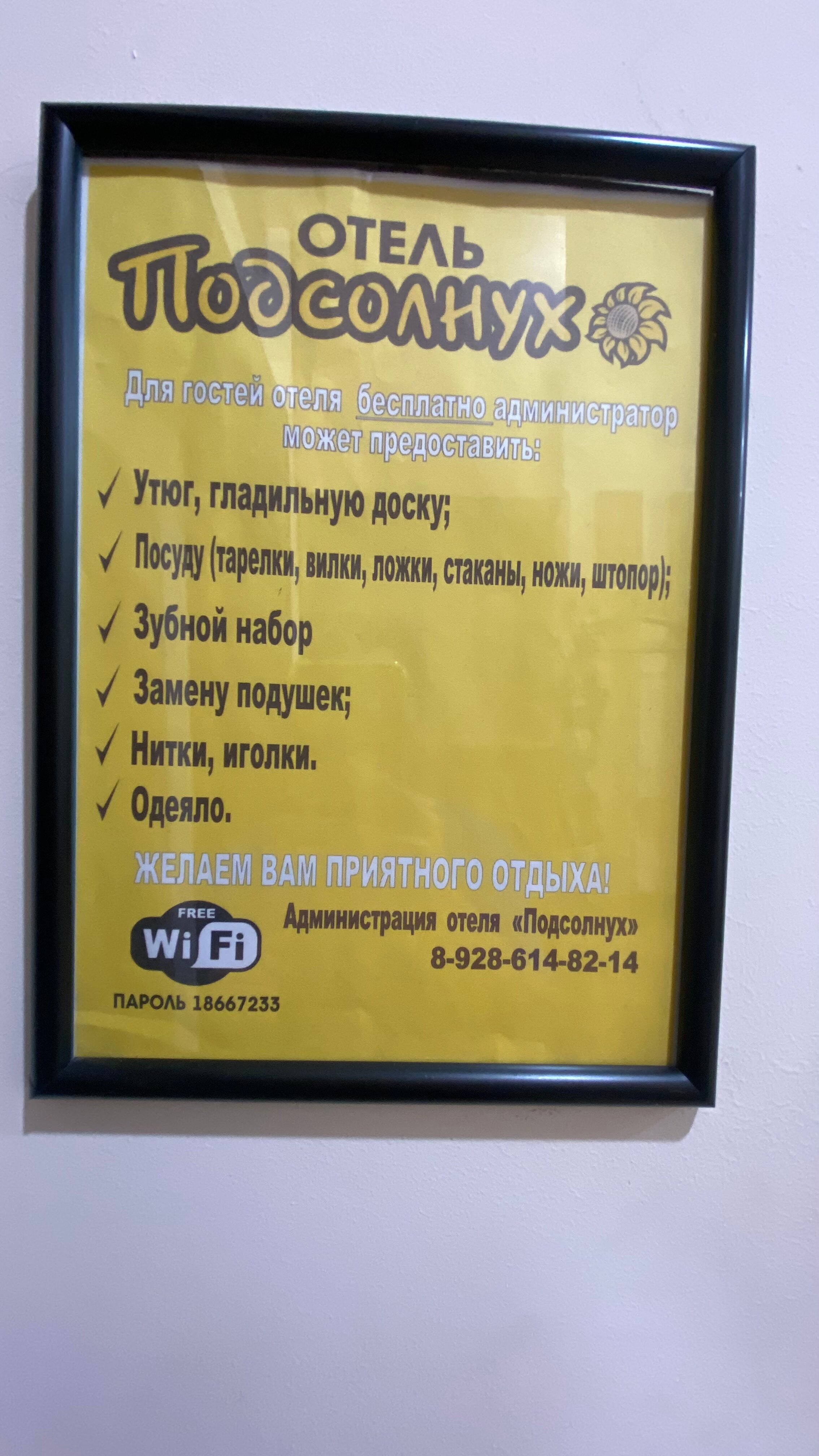 Фото Подсолнух