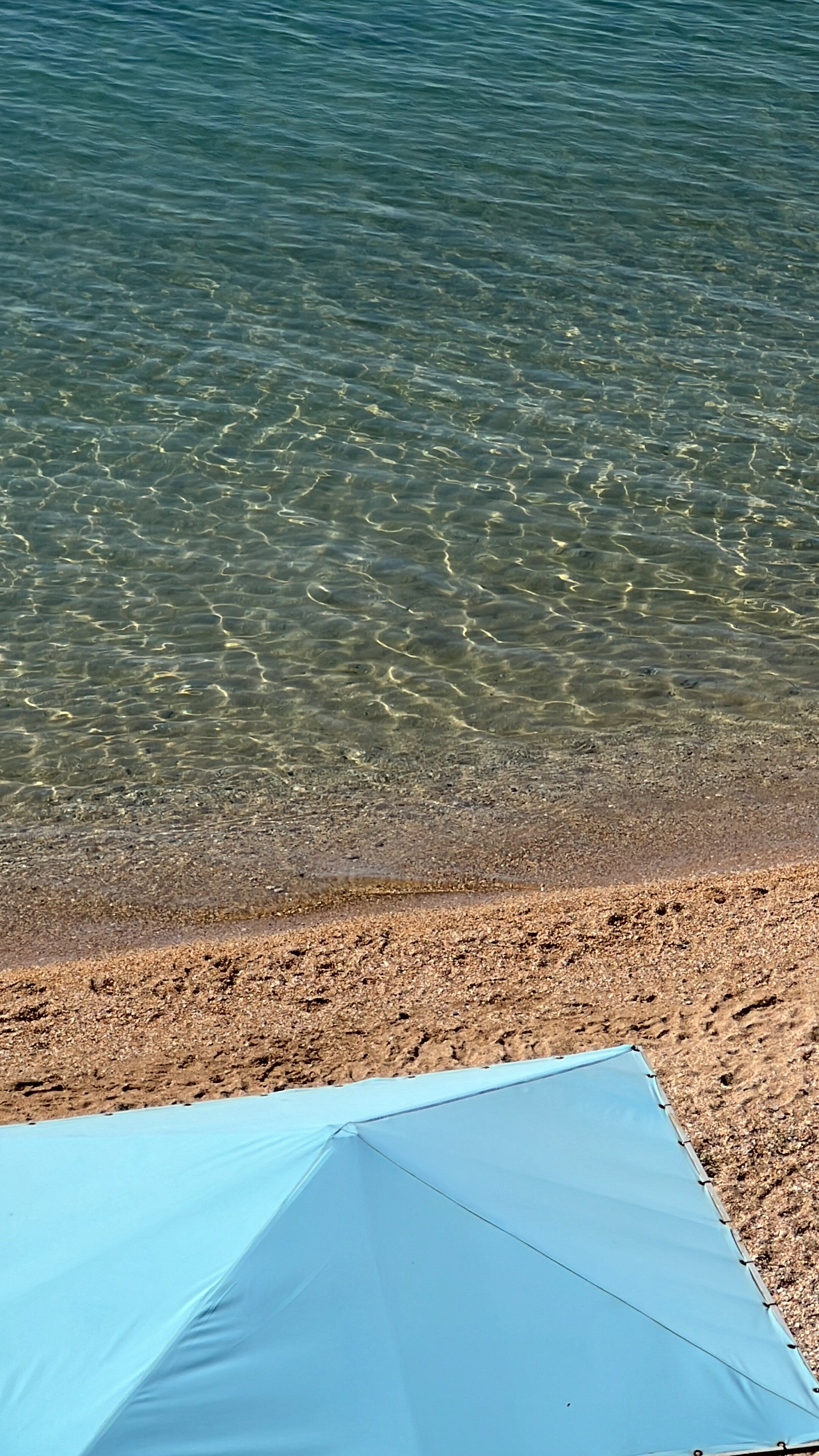 Фото Эллинг Приморец