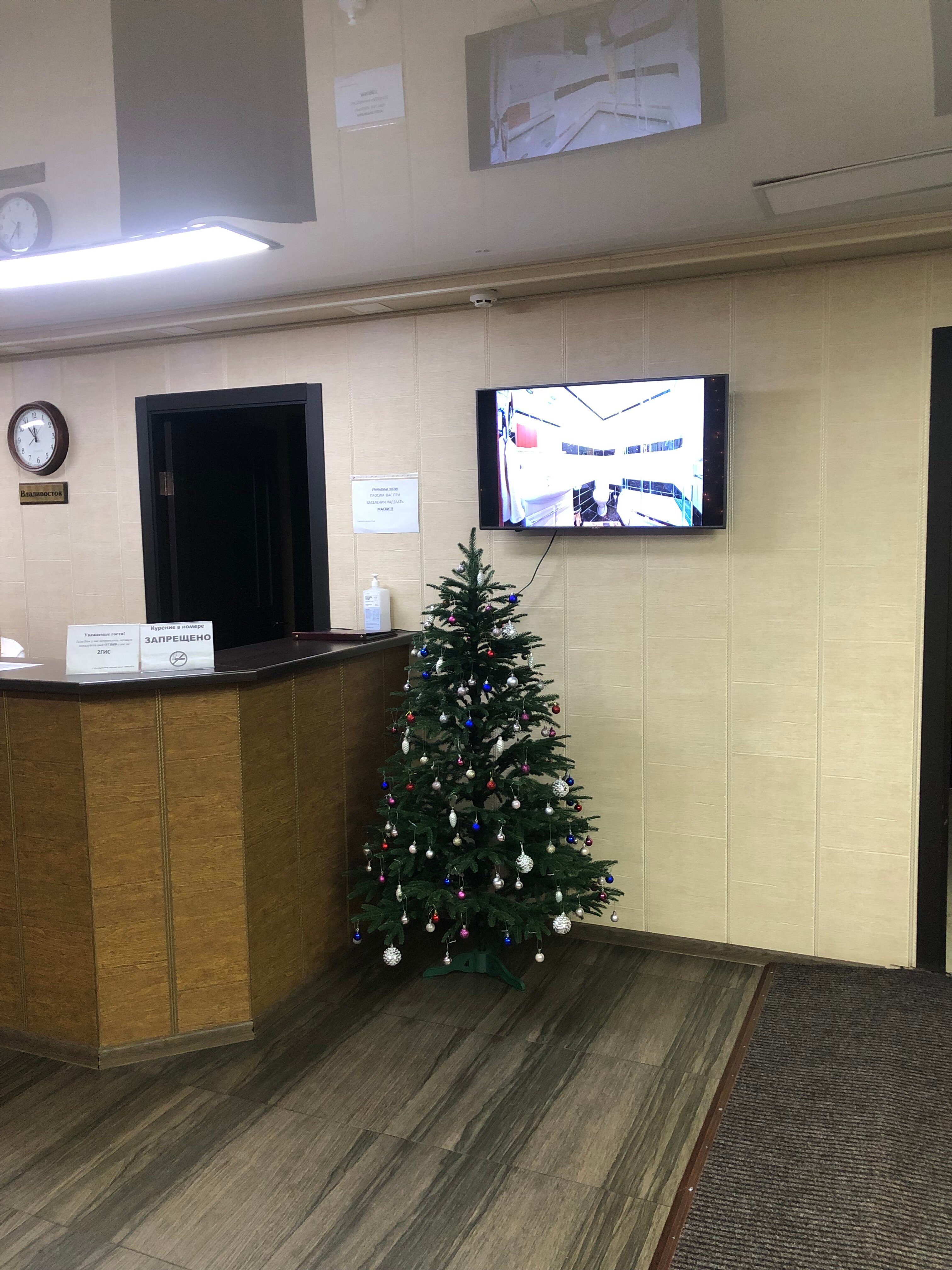 Фото Шведка