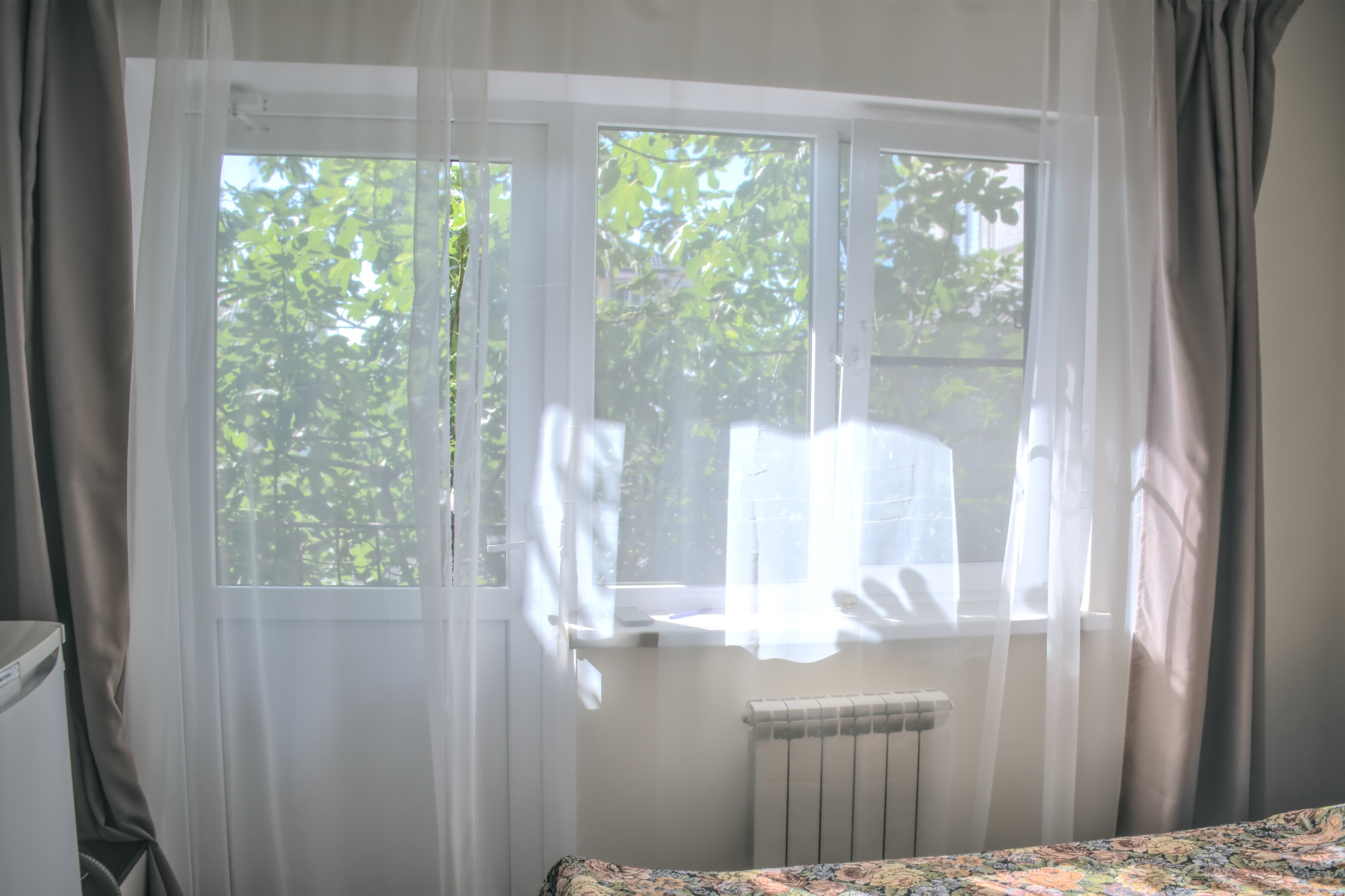 Фото Виноградная лестница