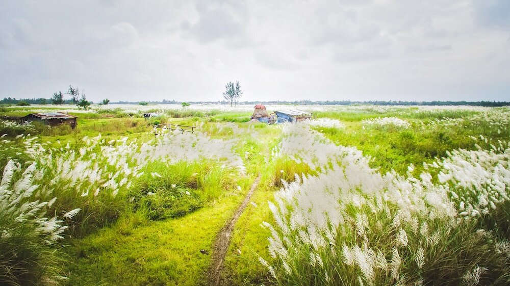 Фото Hoi An Hideaway Villa