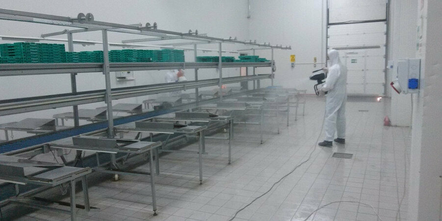 Disinfection, disinsection, deratization Smyrna Pest Control, Izmir, photo