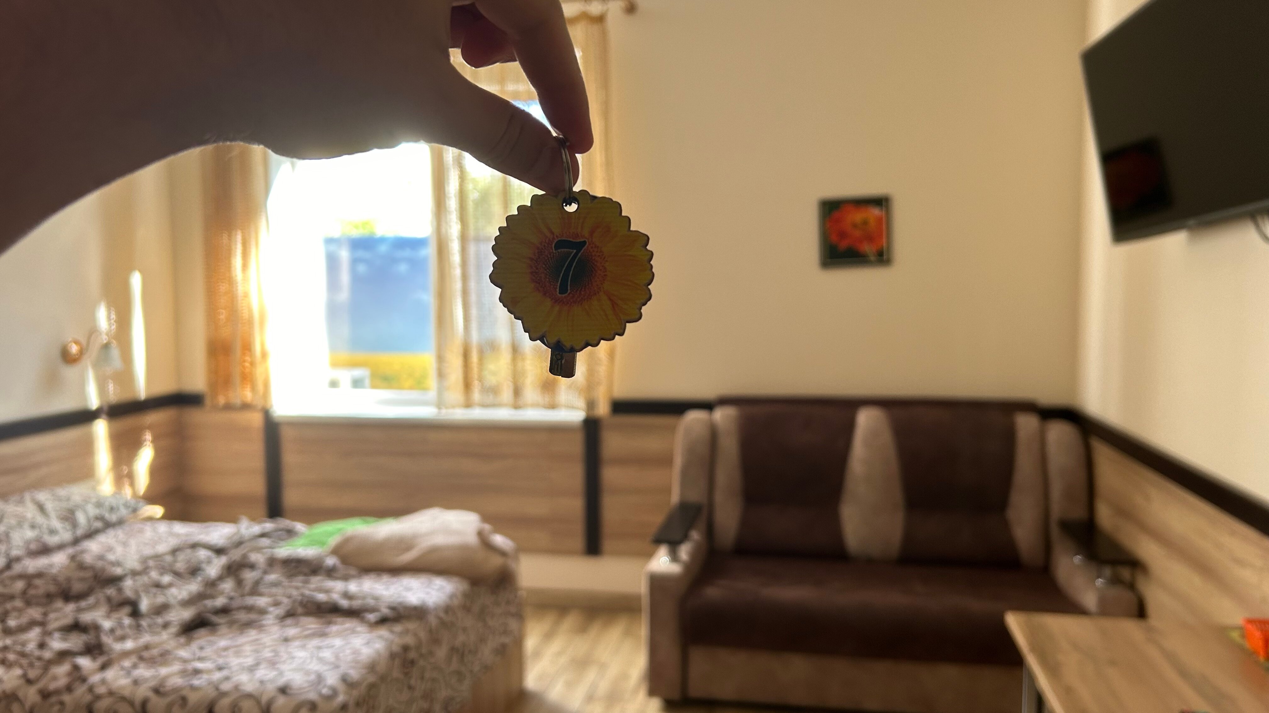 Фото Подсолнух