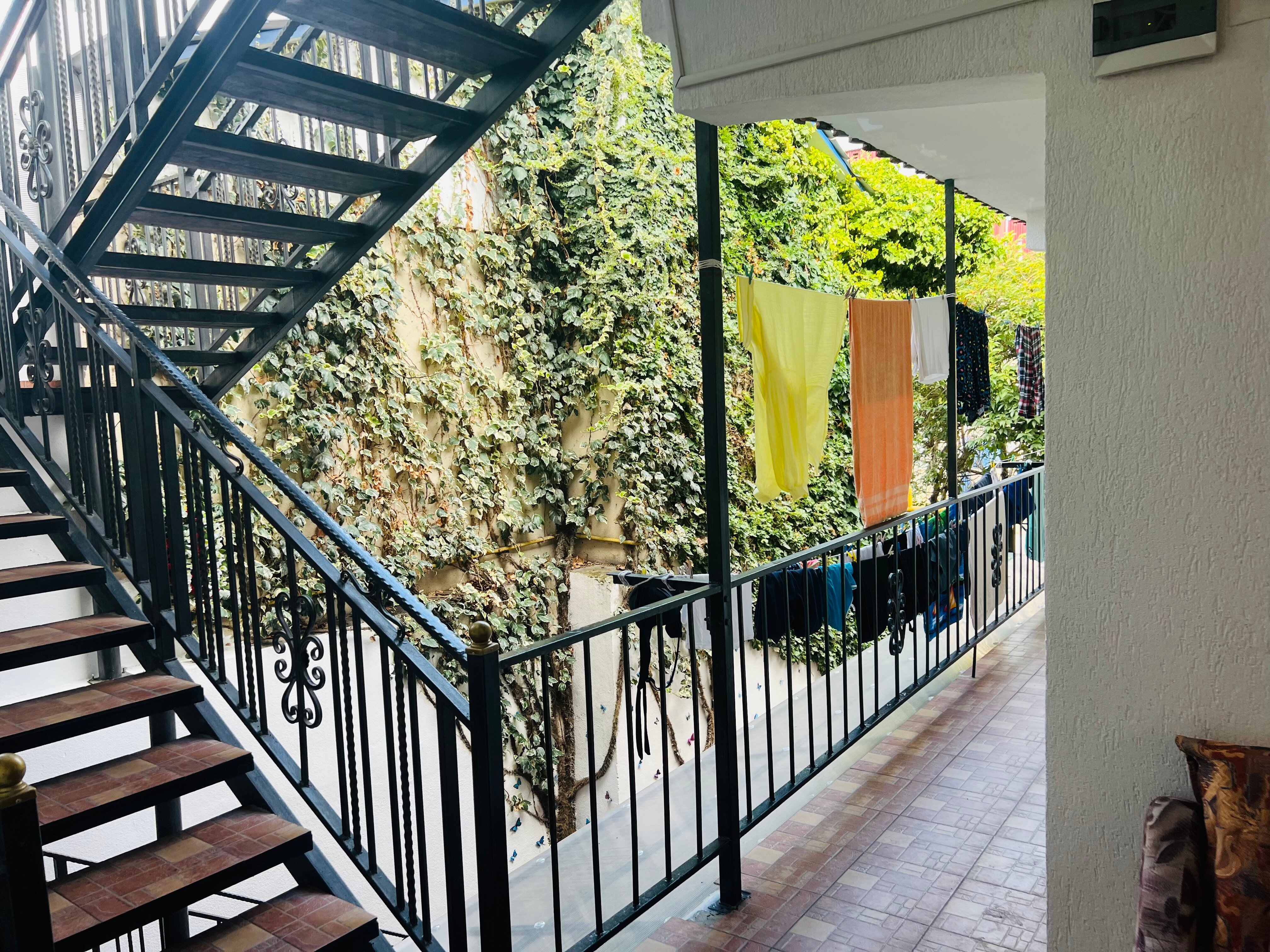 Фото Альбина