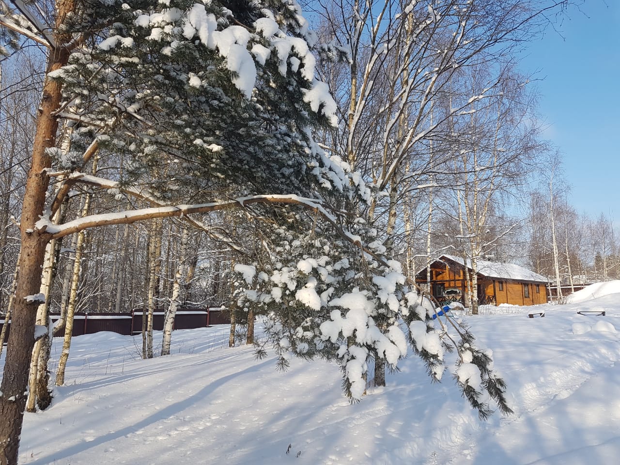 Фото Dorum Дом с баней
