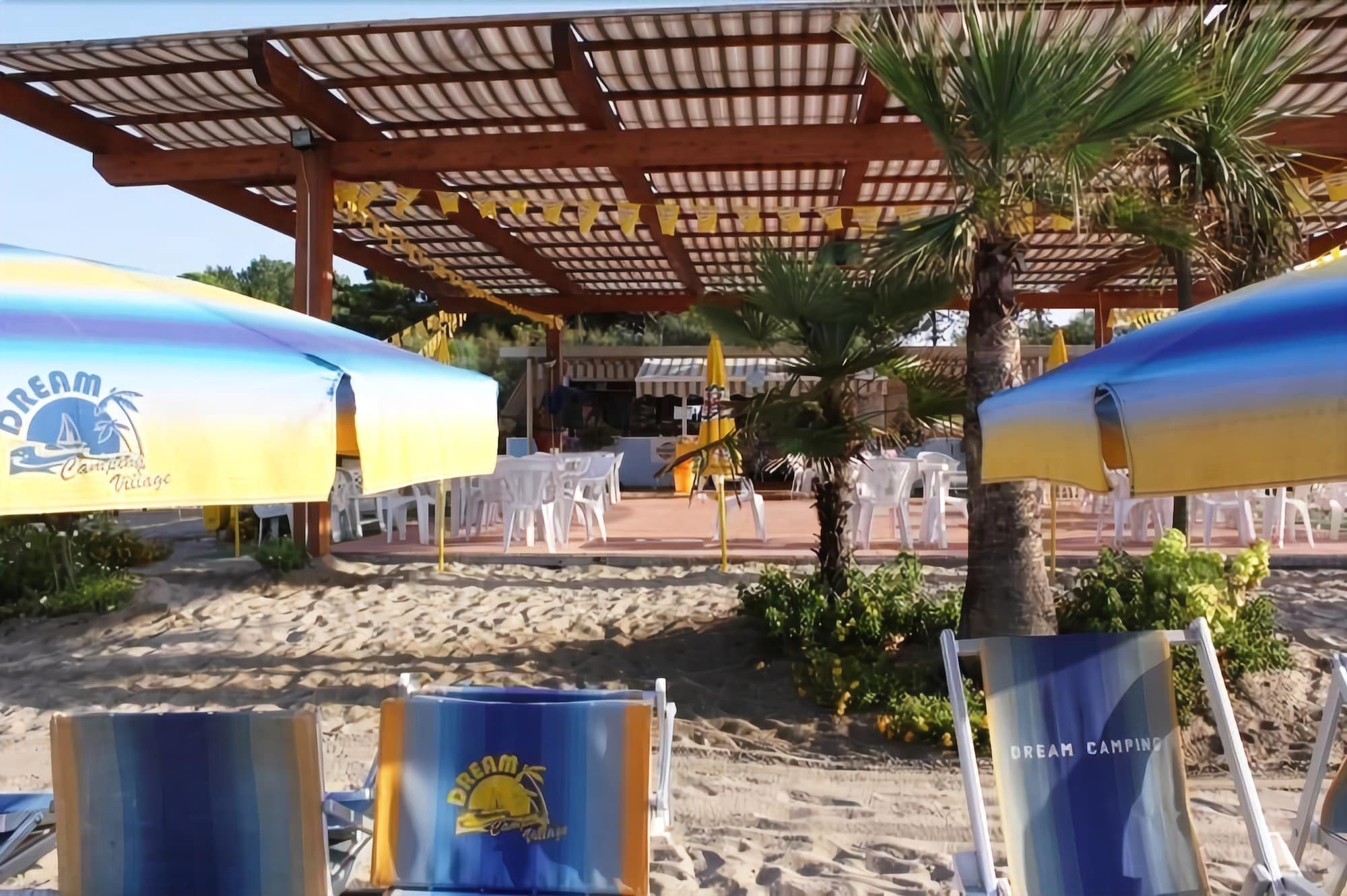 Фото Dream Camping