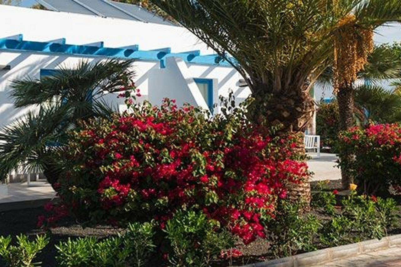 Фото Elba Premium Suites - Adults Only