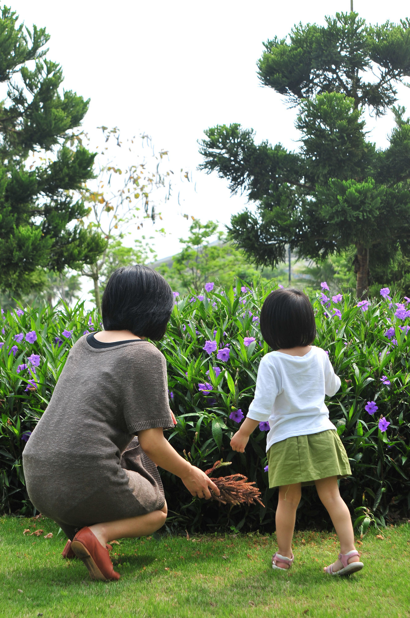 Фото 53793619340