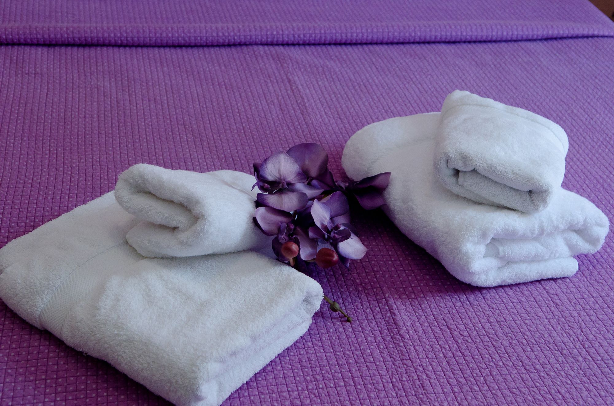 Фото Andrews Luxury Residence