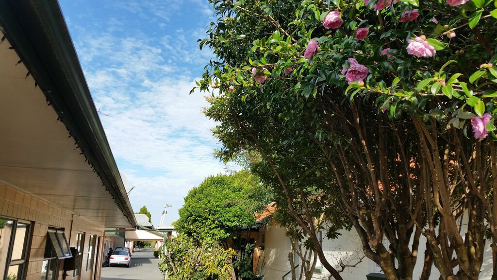 Hotel Cedar Lodge Motel Hamilton, Hamilton, photo