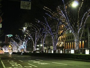 Гостиница Apa Hotel Toyama Ekimae Minami