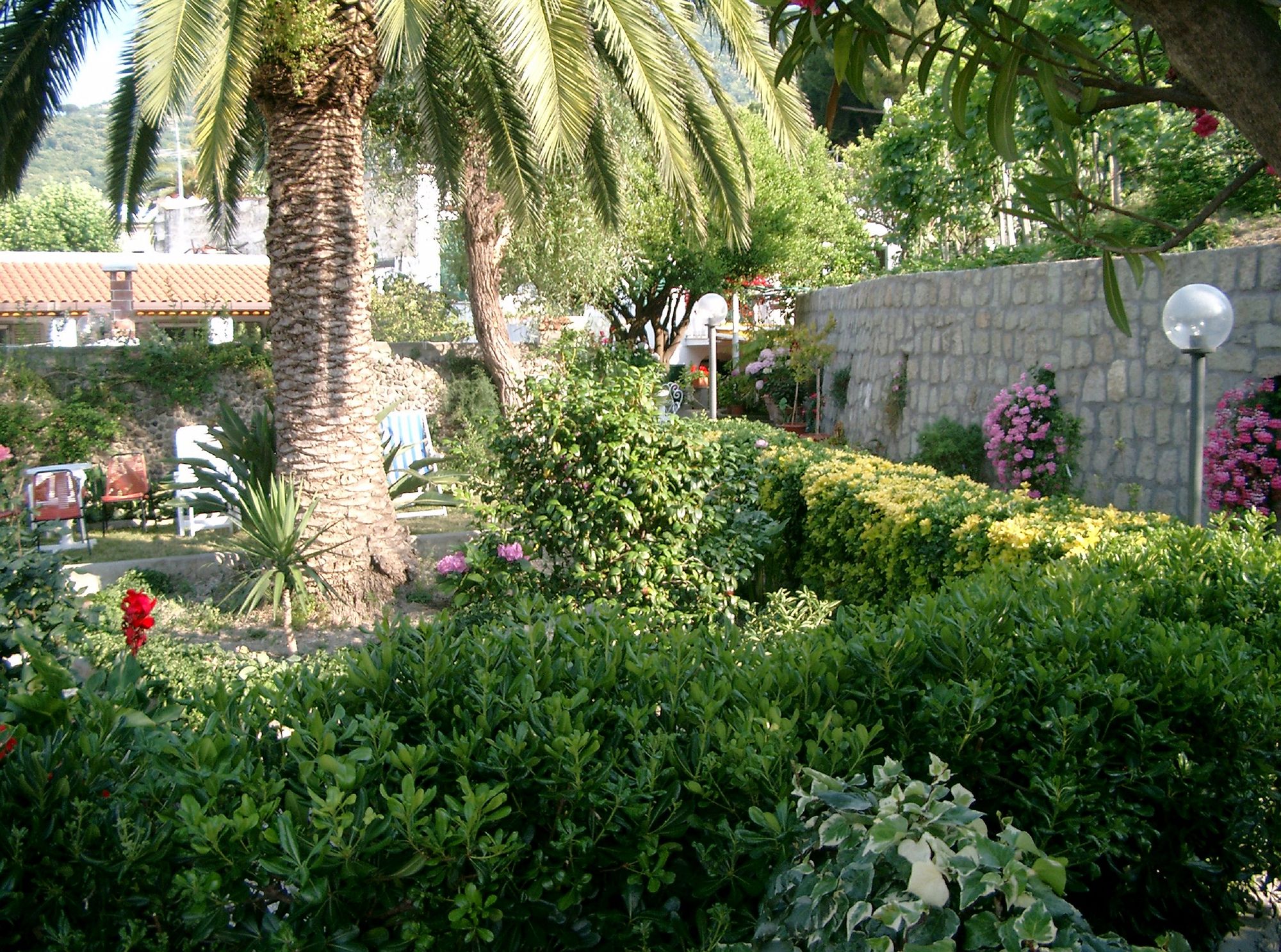 Фото Hotel Matarese