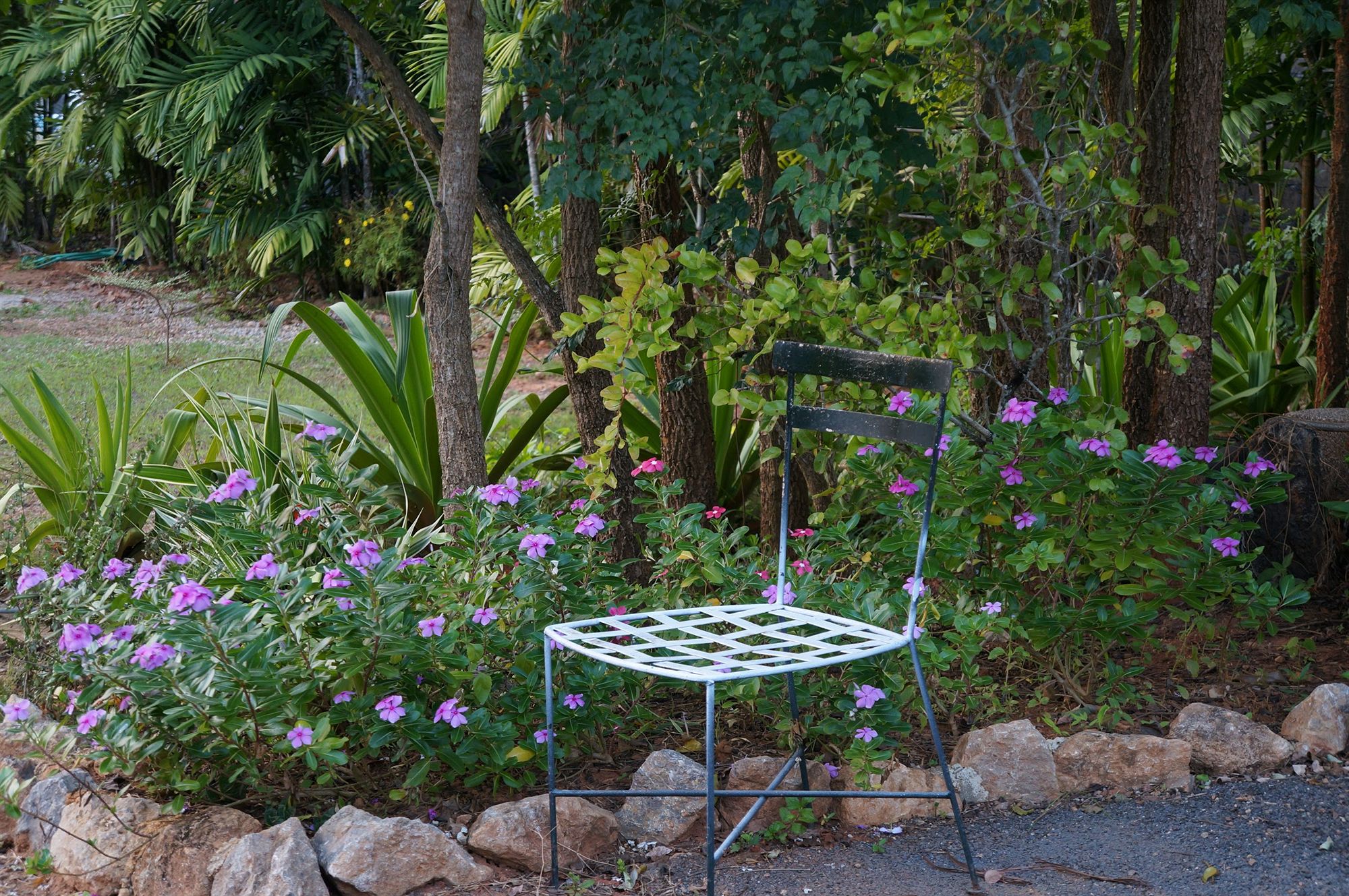 Фото A Little Villa