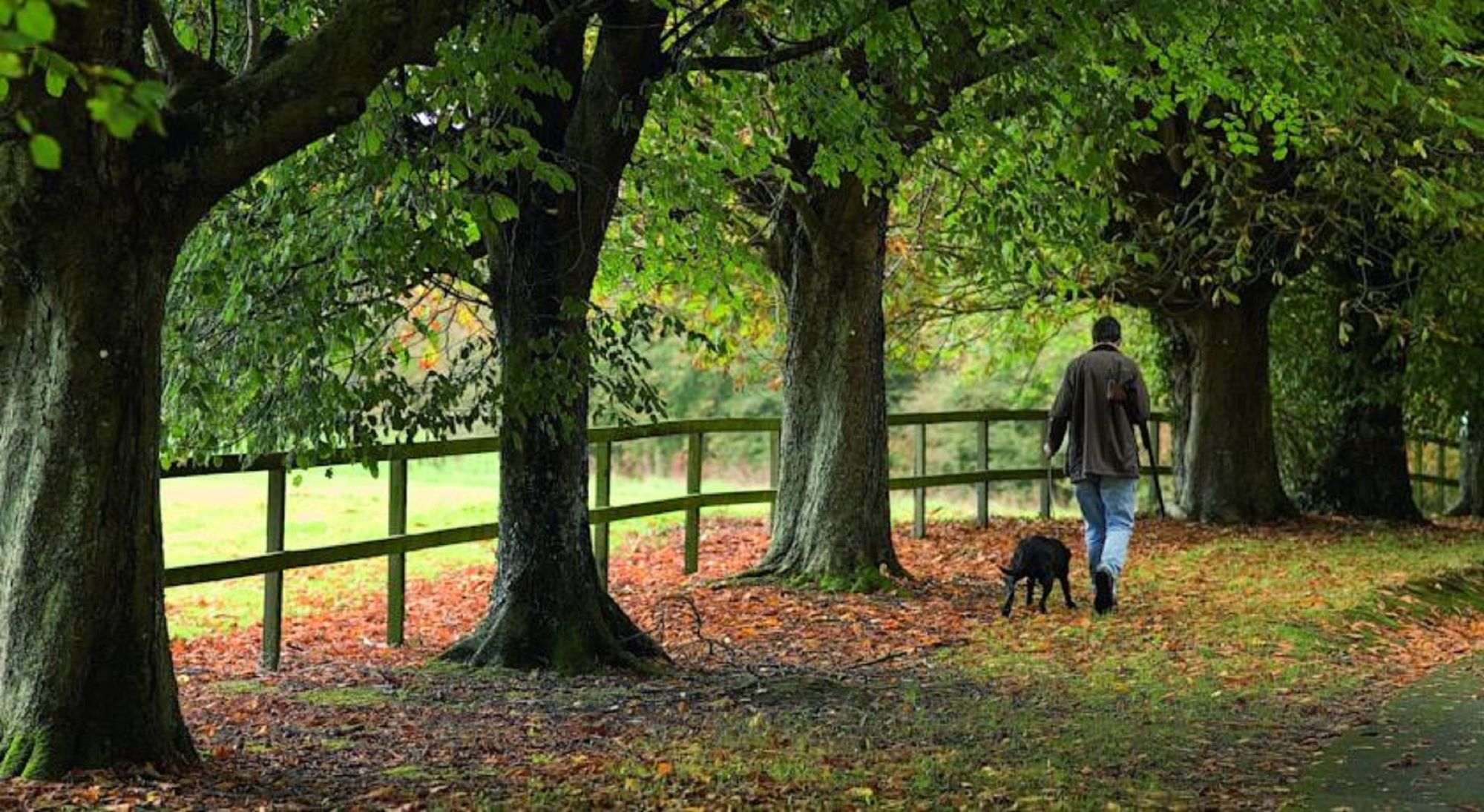 Фото Waterford Castle